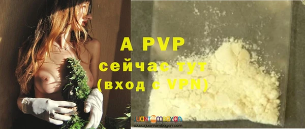 стаф Баксан