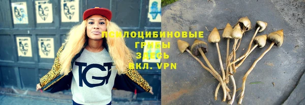 твердый Балабаново